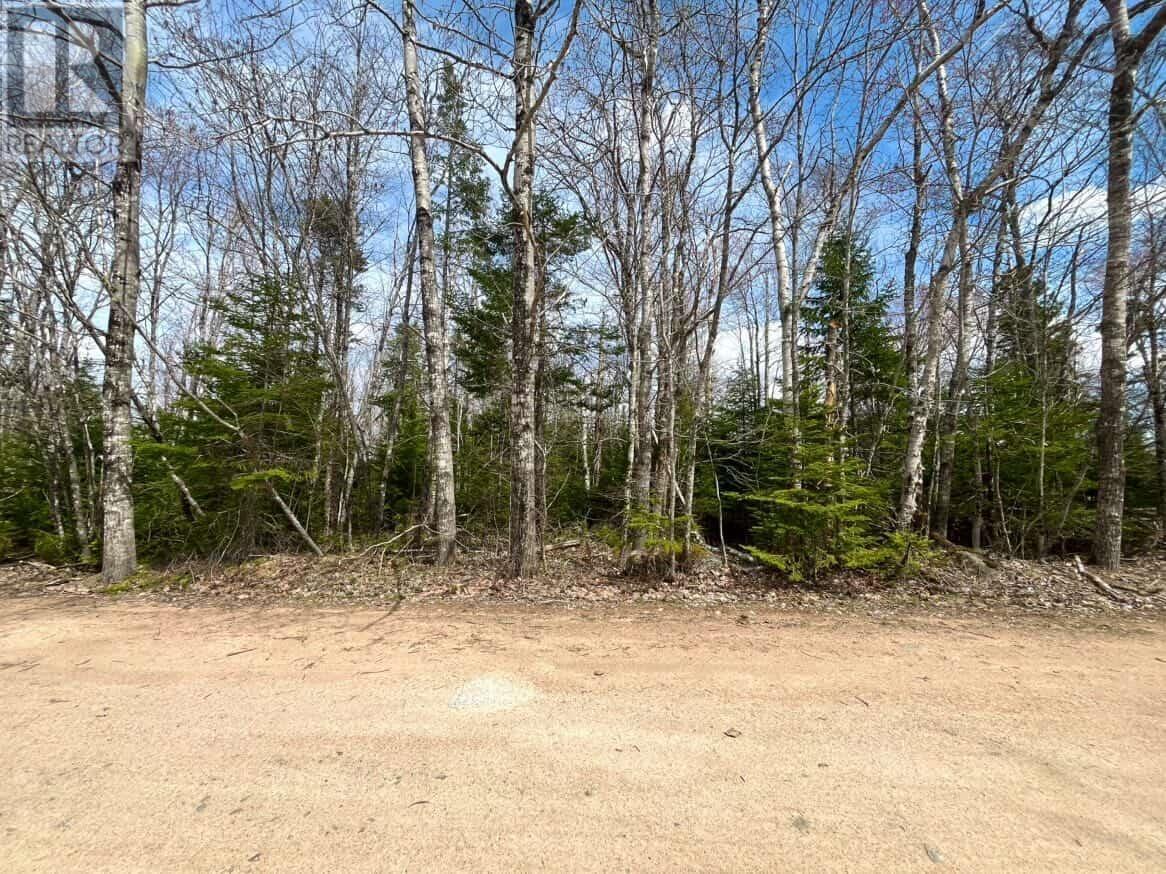 Property 3 of 6 of Lot 10 Black Duck Lake Road