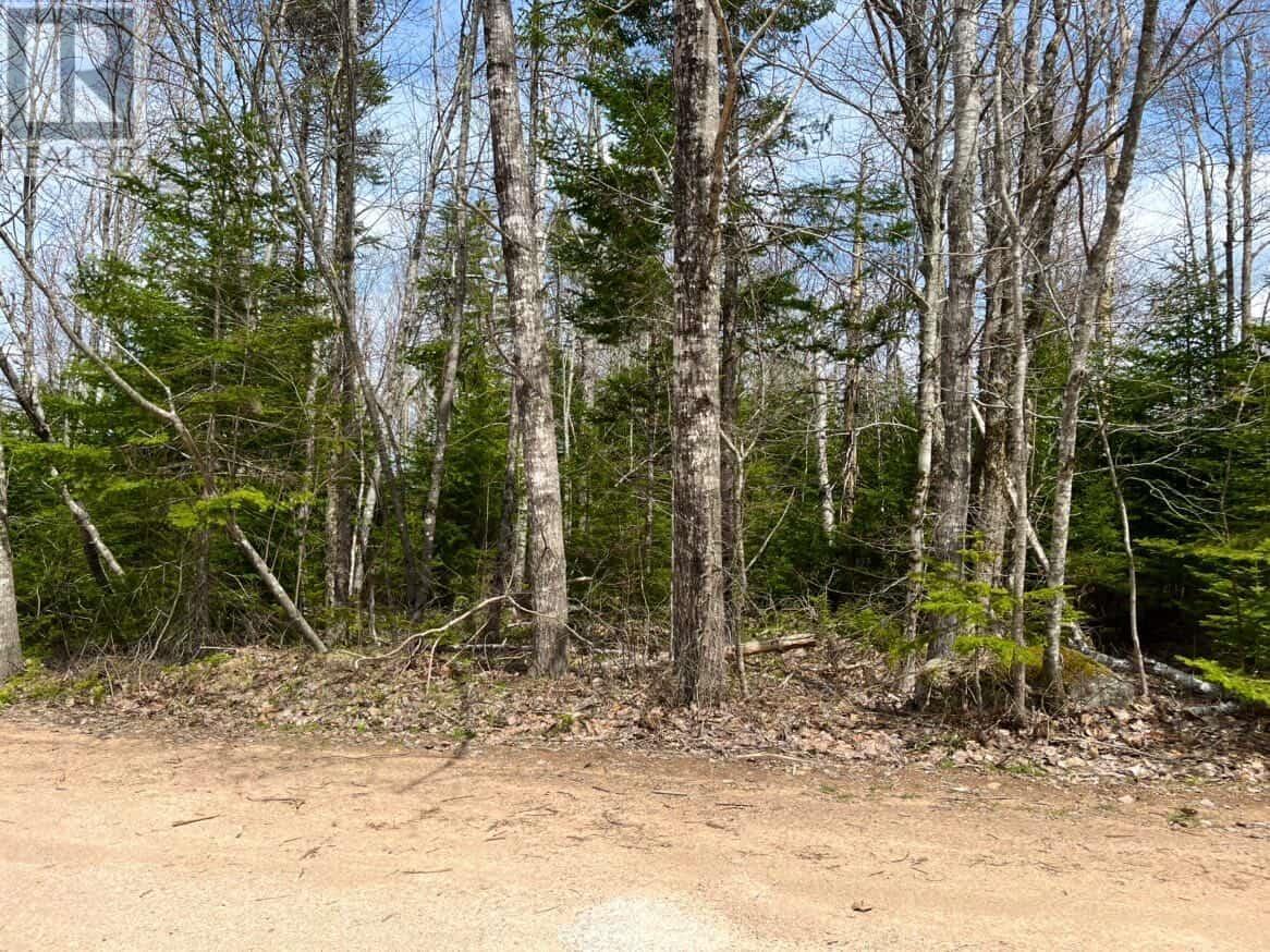 Property 4 of 6 of Lot 10 Black Duck Lake Road