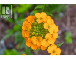 4230 Skye Rd, Ladysmith, BC V9G1Y5 Photo 73