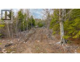 Lot 6-1191 Route 785, Utopia, NB E5C2L3 Photo 22