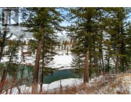 755 Michel Creek Road, Sparwood, BC V0B2G1 Photo 31