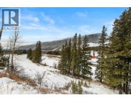 755 Michel Creek Road, Sparwood, BC V0B2G1 Photo 25