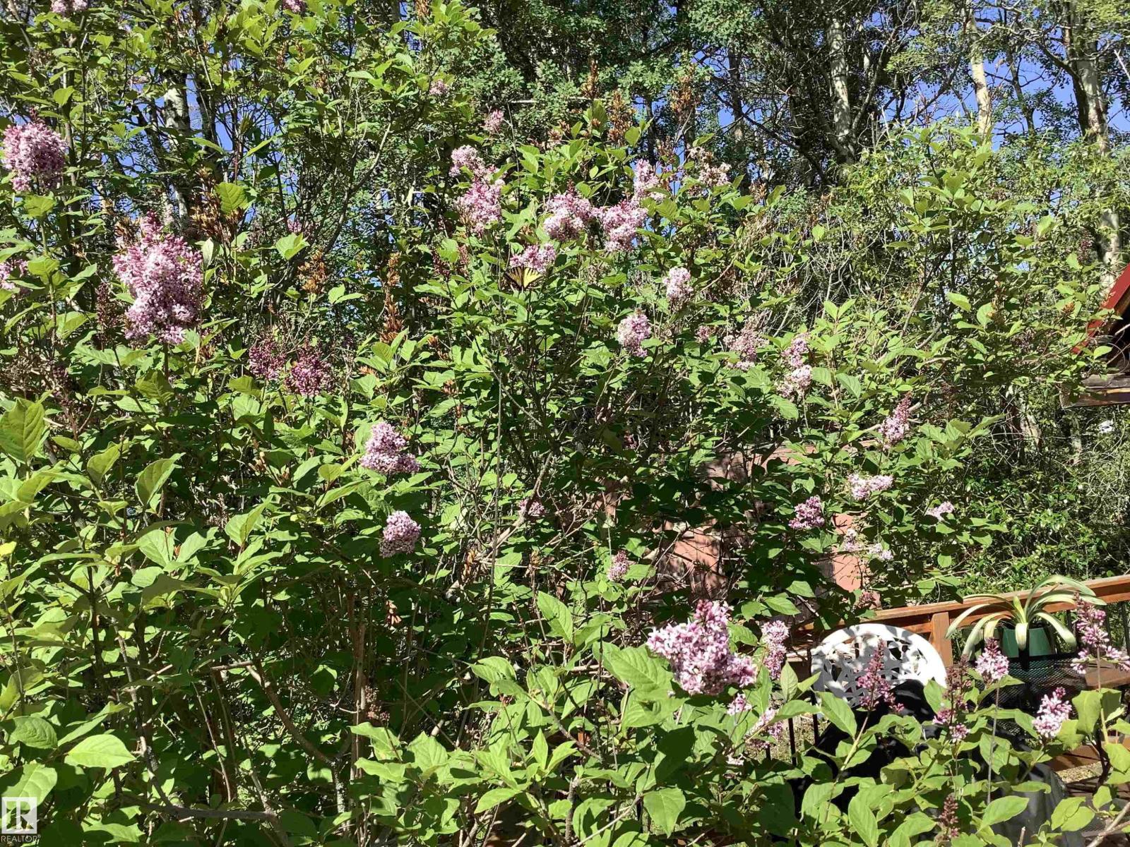 Lot 50 5429 Township Road 494 - 16