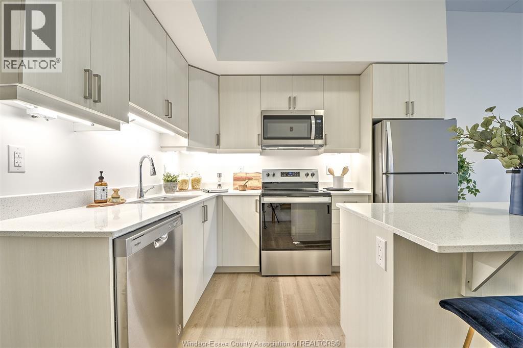 207 BROCK Unit# 219, Amherstburg, Ontario, N9V2H3 — Photo 16