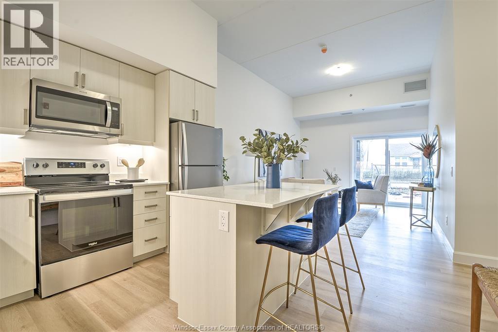 207 BROCK Unit# 219, Amherstburg, Ontario, N9V2H3 — Photo 17