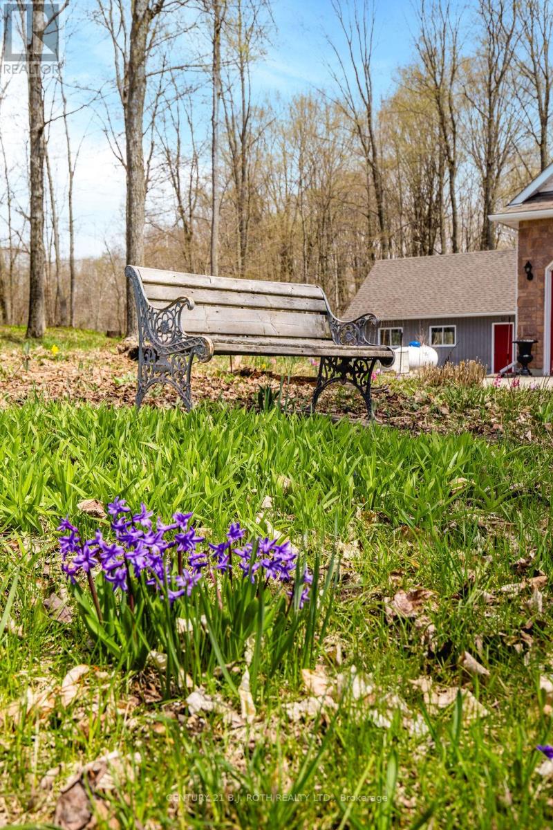 1187 FRENCH ROAD - 6
