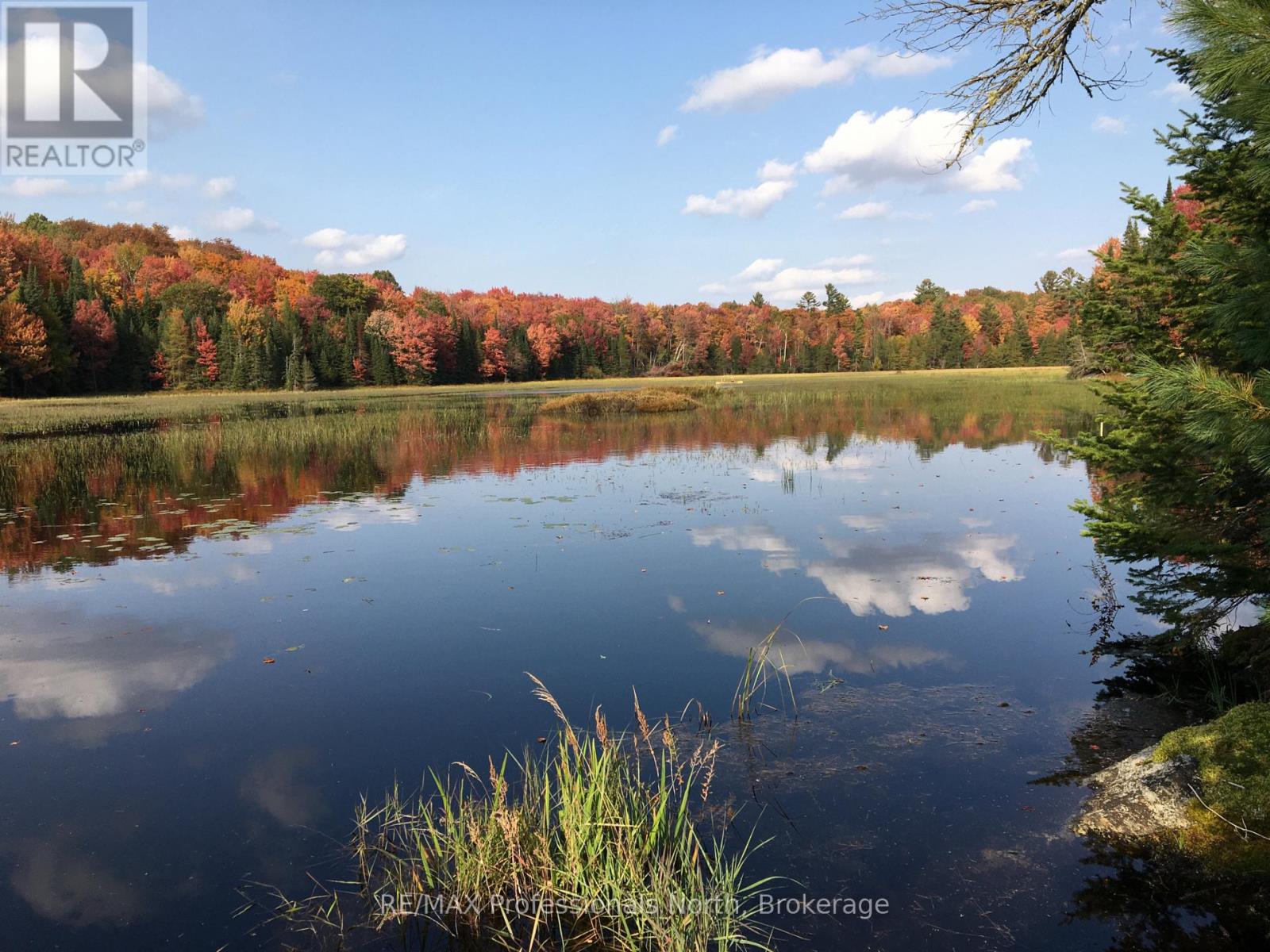 862 LYNX LAKE RD ROAD - 12