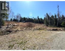 Lot 18-03 Damian Lane, St George, NB E5C0C3 Photo 8