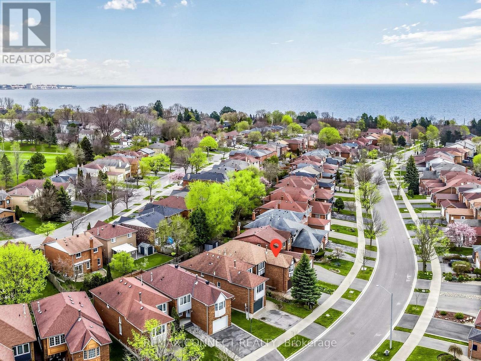 60 STARSPRAY BOULEVARD - 39