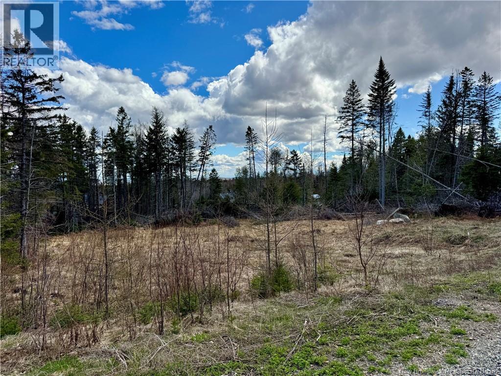 Lot Slopeside Lane, Central Hainesville — photo 2