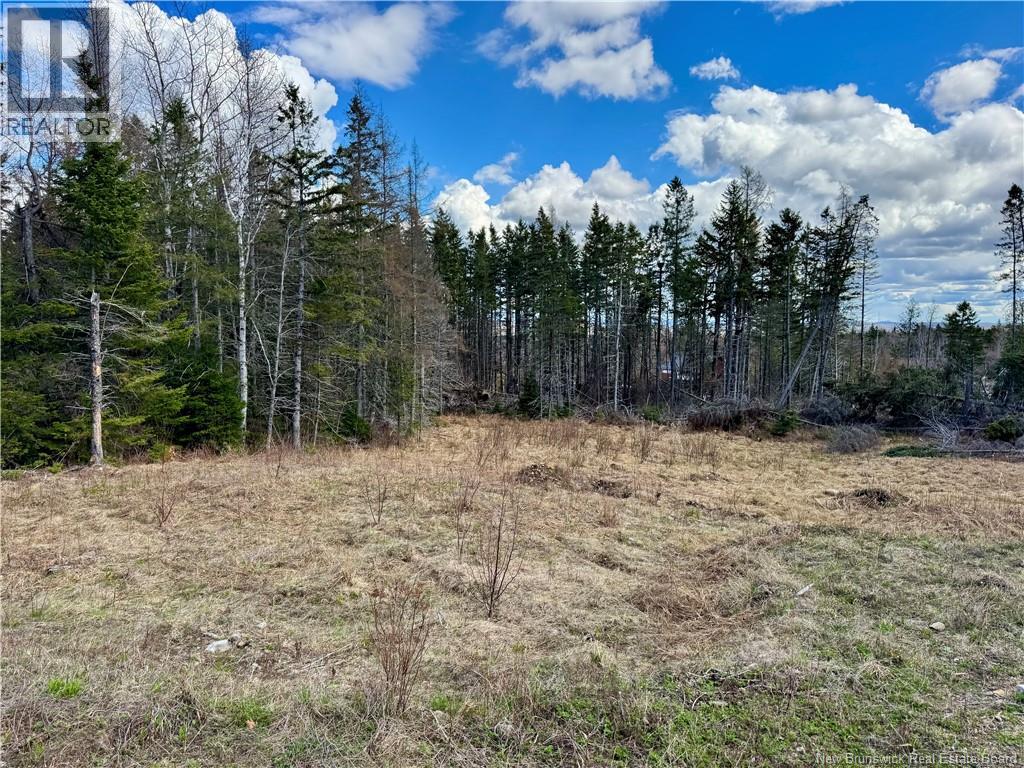 Lot Slopeside Lane, Central Hainesville — photo 3