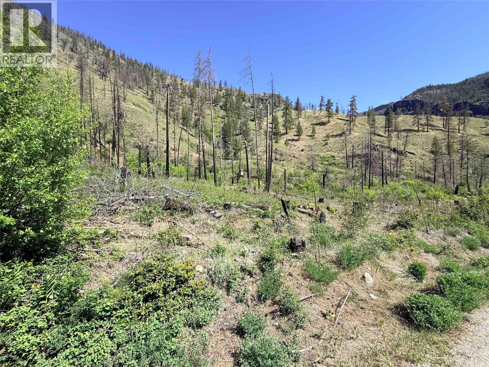 Green Mountain Road Lot# 530S, Keremeos