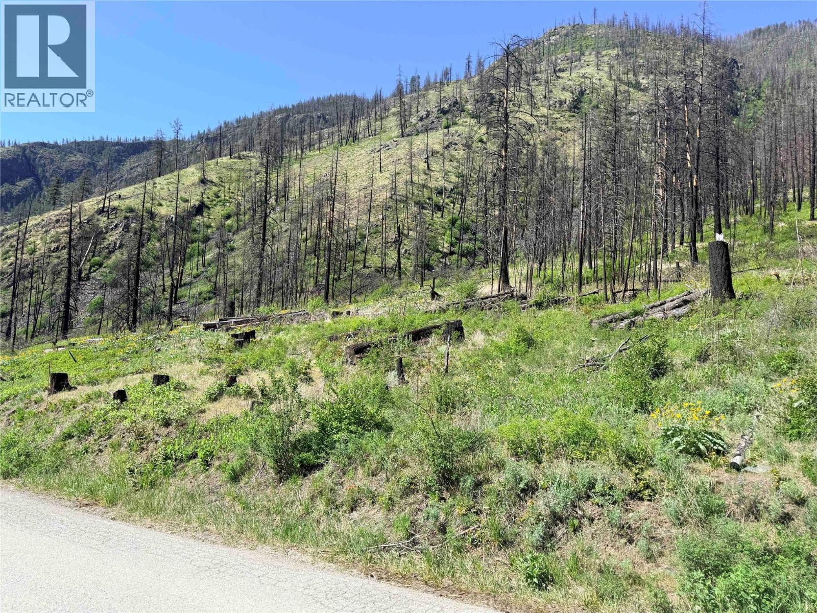 Green Mountain Road Lot# 530S, Keremeos