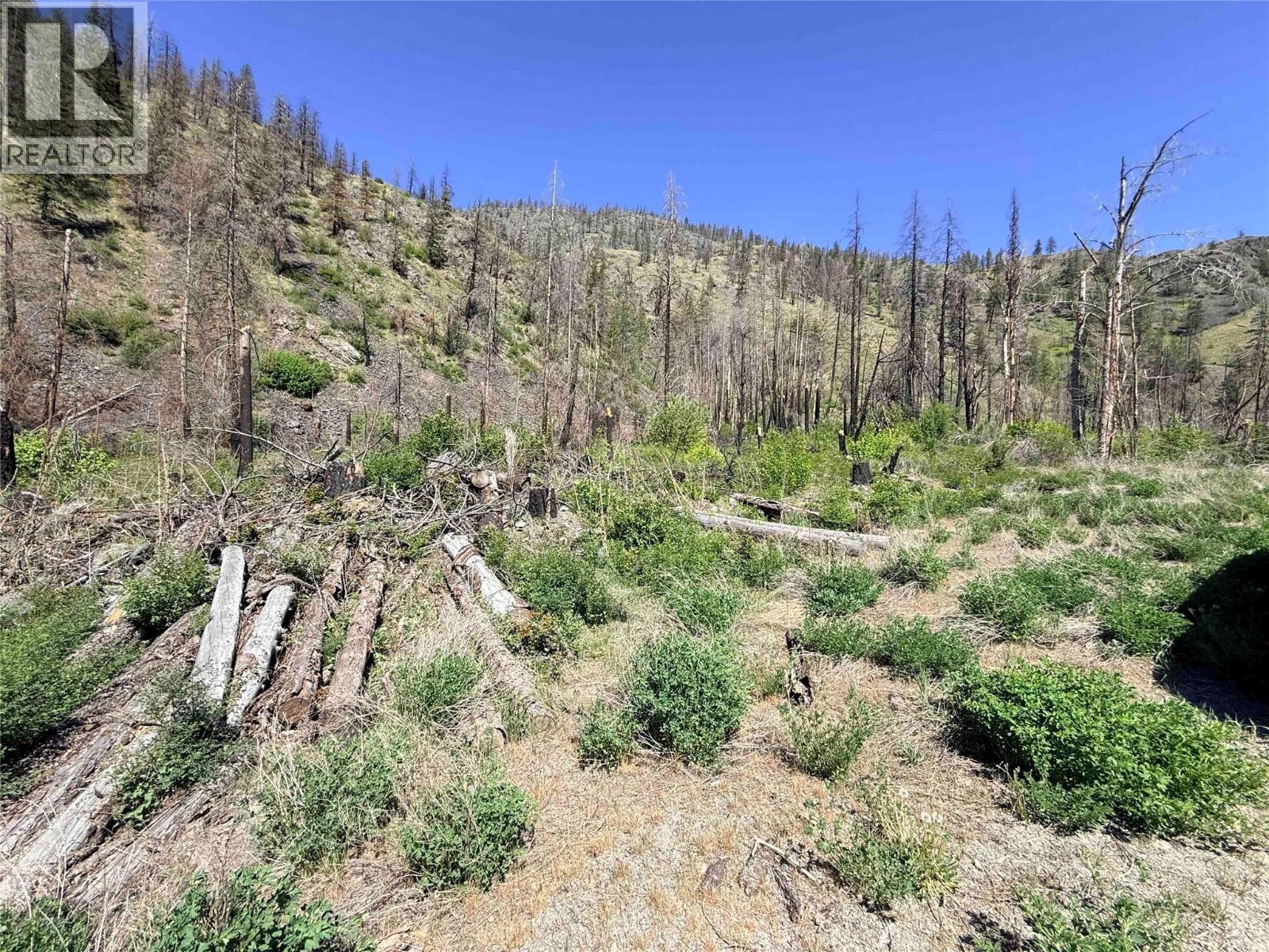 Green Mountain Road Lot# 530S, Keremeos