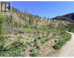 Green Mountain Road Lot# 530s, Keremeos, BC V0X1N6 Photo 10