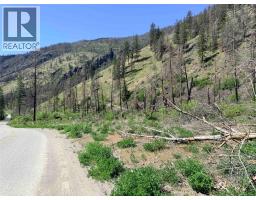 Green Mountain Road Lot# 530s, Keremeos, BC V0X1N6 Photo 12