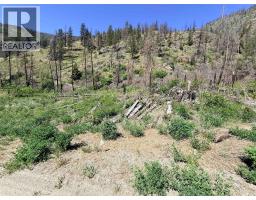 Green Mountain Road Lot# 530s, Keremeos, BC V0X1N6 Photo 14