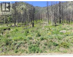 Green Mountain Road Lot# 530s, Keremeos, BC V0X1N6 Photo 15