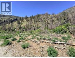 Green Mountain Road Lot# 530s, Keremeos, BC V0X1N6 Photo 18