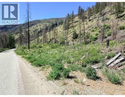 Green Mountain Road Lot# 530s, Keremeos, BC V0X1N6 Photo 7
