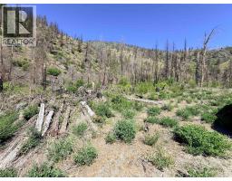 Green Mountain Road Lot# 530s, Keremeos, BC V0X1N6 Photo 8