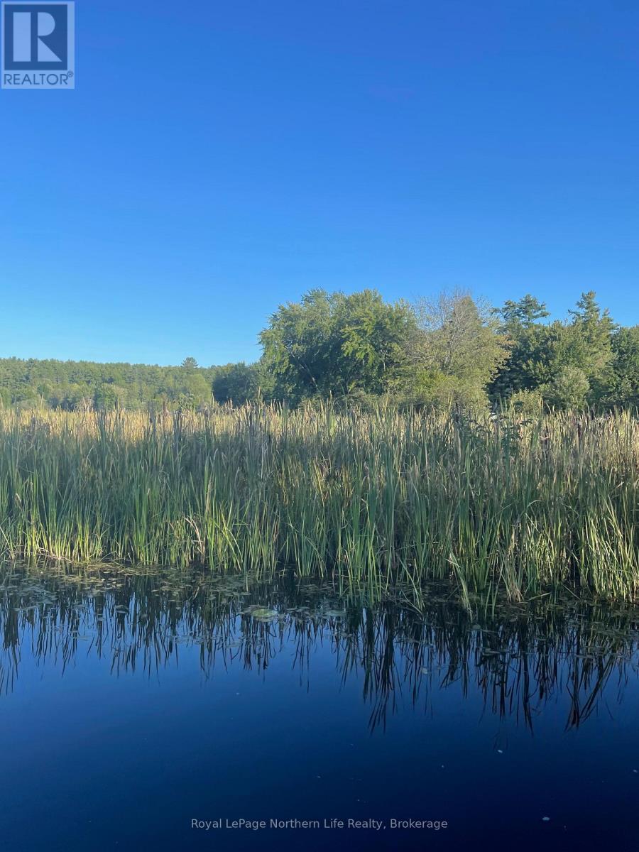 170 TALON LAKE ROAD - 45