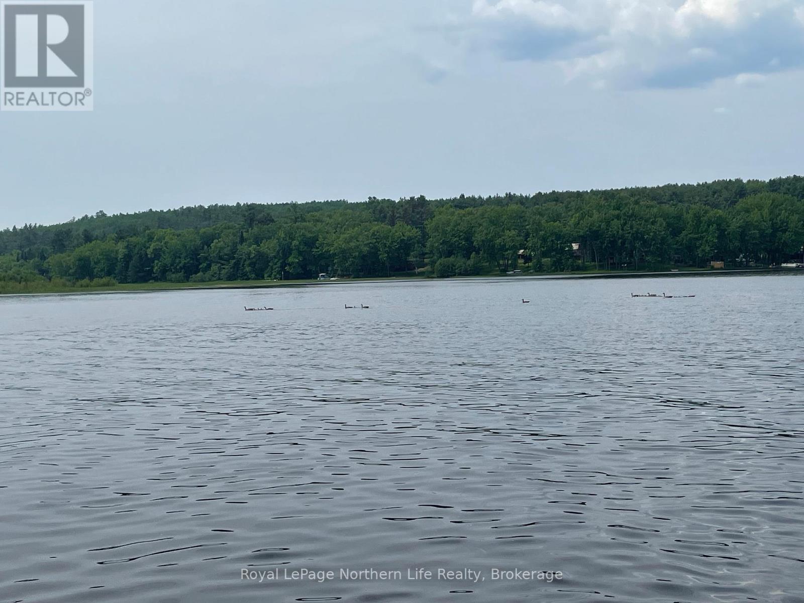 170 TALON LAKE ROAD - 49