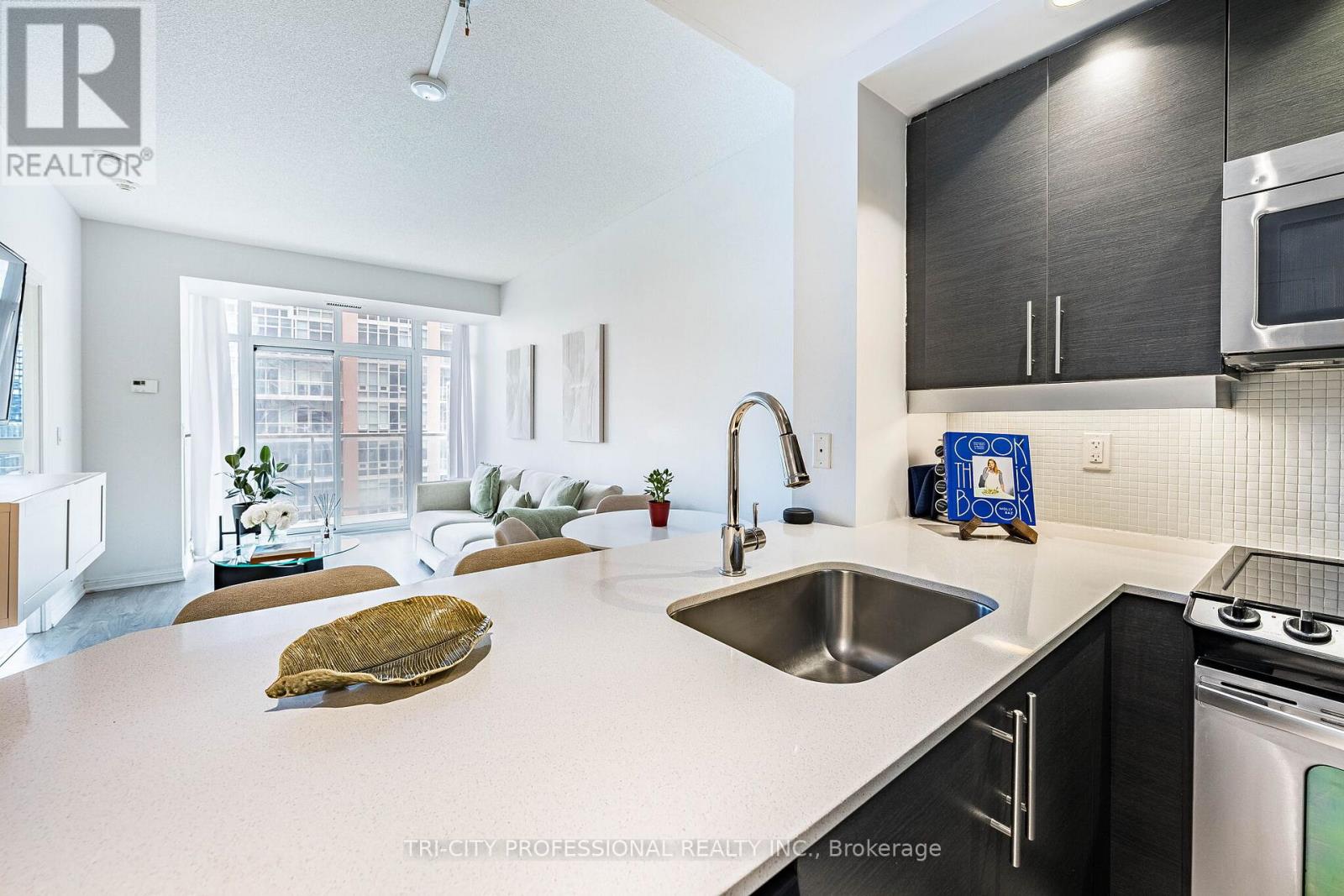 #1713 85 E LIBERTY STREET - 11