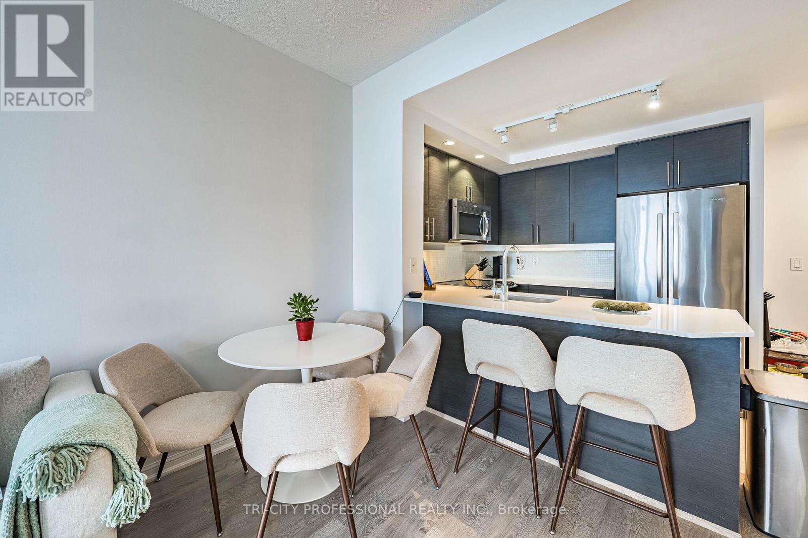 #1713 85 E LIBERTY STREET - 16