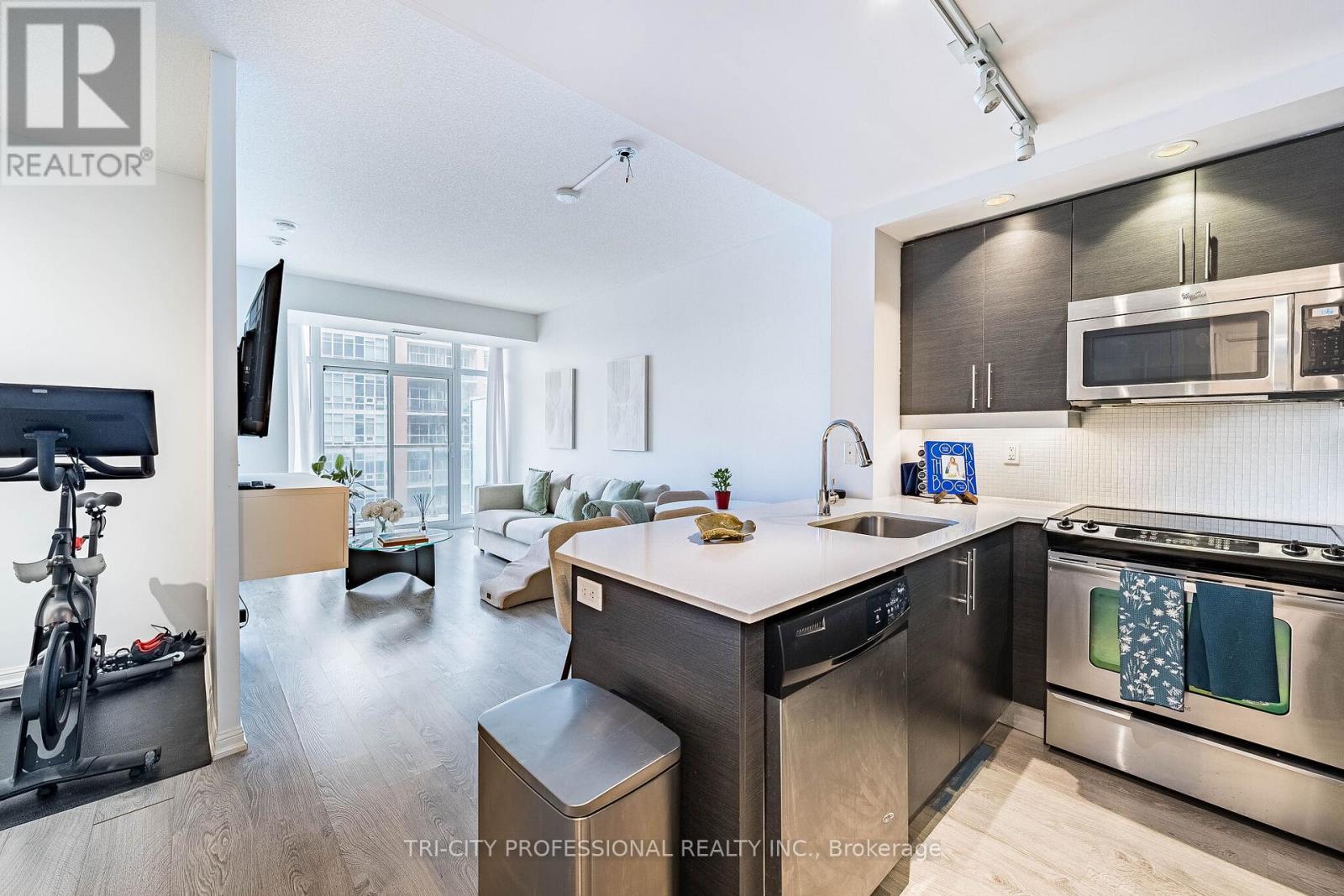 #1713 85 E LIBERTY STREET - 9