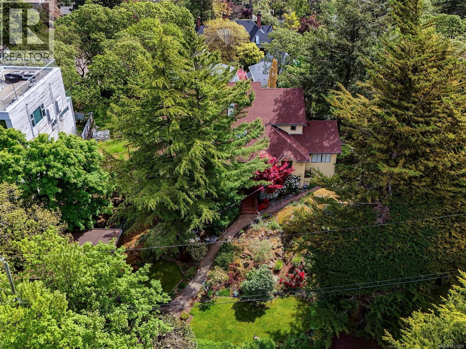  1019 Terrace Avenue, Victoria