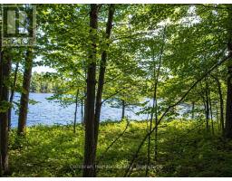 20 Part Lot 13 Concession, Muskoka Lakes), ON P0C1A0 Photo 6