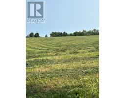 4479 2nd Line N, Oro Medonte, ON L0L1V0 Photo 8