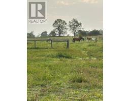 4479 2nd Line N, Oro Medonte, ON L0L1V0 Photo 6