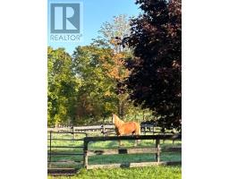 4479 2nd Line N, Oro Medonte, ON L0L1V0 Photo 9
