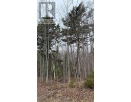 Lot 24-4 Little Harbour Road, Frasers Mountain, NS B2H3T5 Photo 10