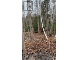 Lot 24-4 Little Harbour Road, Frasers Mountain, NS B2H3T5 Photo 11