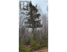 Lot 24-4 Little Harbour Road, Frasers Mountain, NS B2H3T5 Photo 7