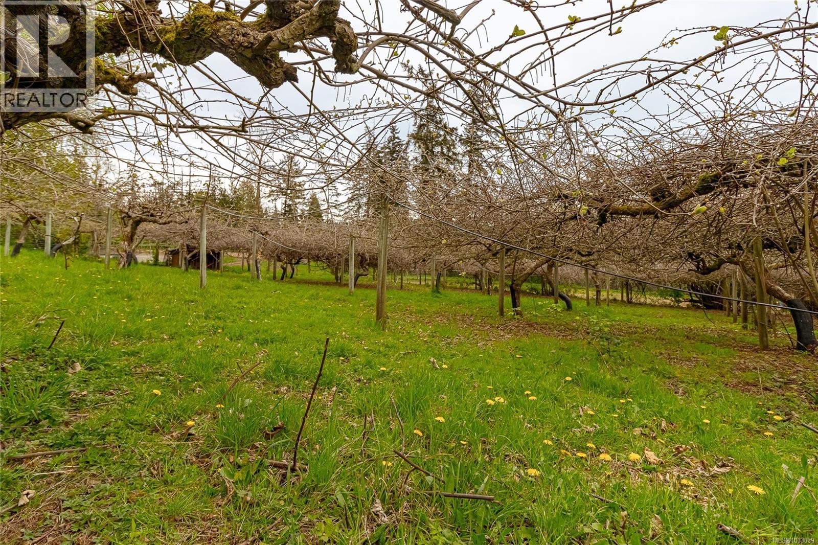 2080 Bear Hill Rd - 59
