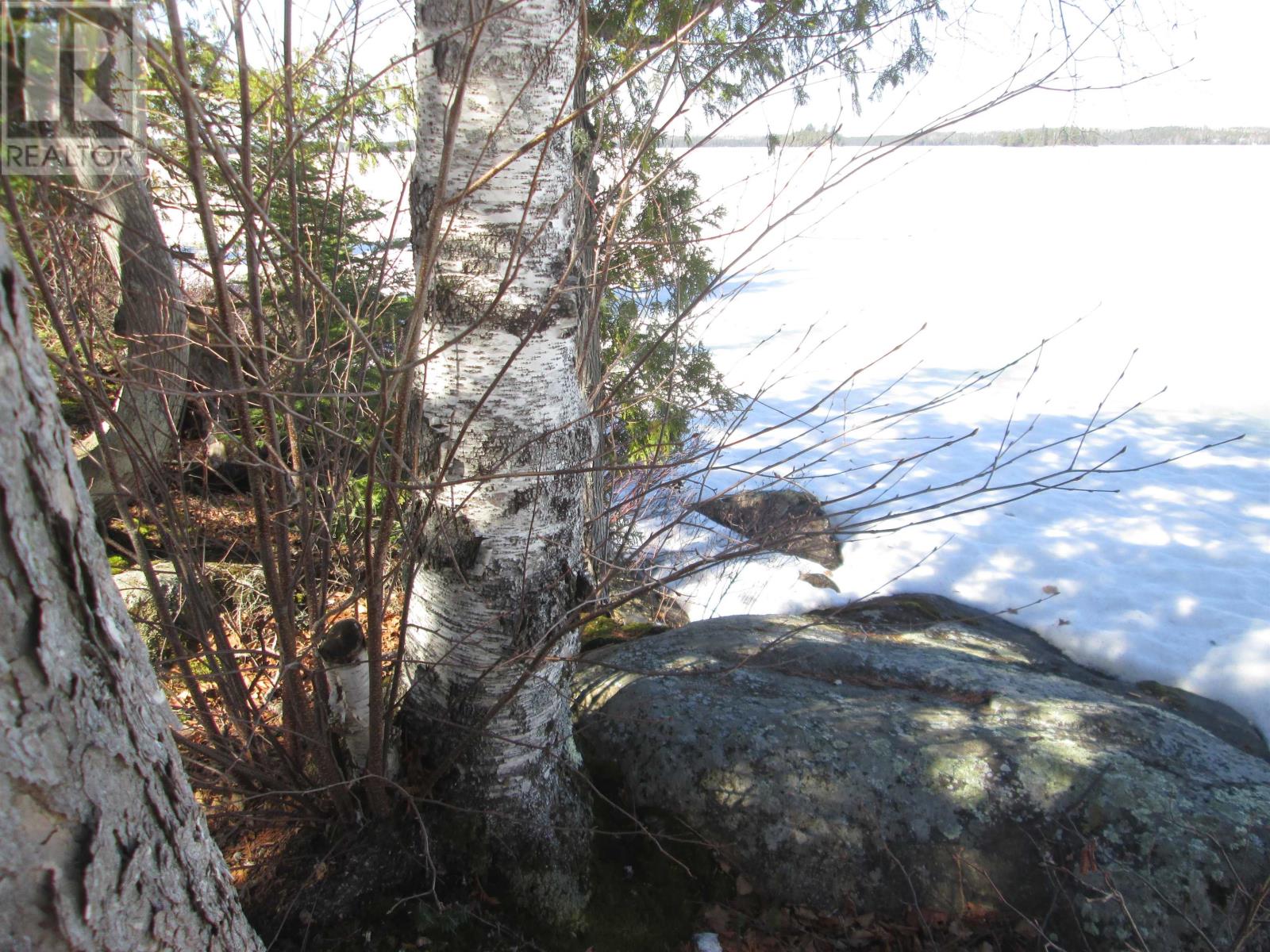 290 Sorenson Avenue, Ignace, Ontario, P0T1T0 — Photo 8