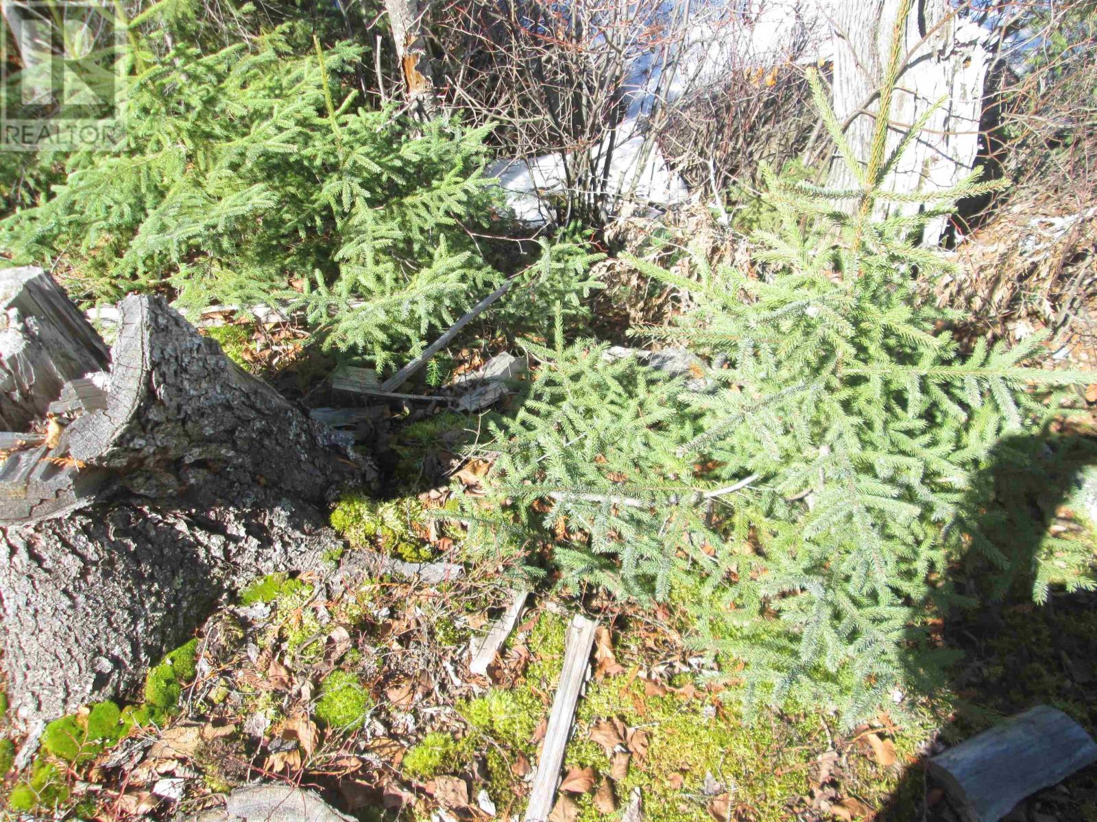 290 Sorenson Avenue, Ignace, Ontario, P0T1T0 — Photo 2