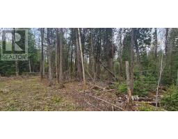 43 Hardwick Cove Road, Northern Bruce Peninsula, ON N0H1W0 Photo 22