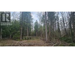 43 Hardwick Cove Road, Northern Bruce Peninsula, ON N0H1W0 Photo 9