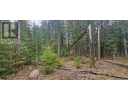 43 Hardwick Cove Road, Northern Bruce Peninsula, ON N0H1W0 Photo 19