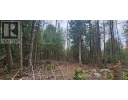 43 Hardwick Cove Road, Northern Bruce Peninsula, ON N0H1W0 Photo 16