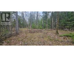 43 Hardwick Cove Road, Northern Bruce Peninsula, ON N0H1W0 Photo 21
