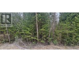 43 Hardwick Cove Road, Northern Bruce Peninsula, ON N0H1W0 Photo 17