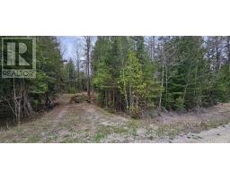 43 Hardwick Cove Road, Northern Bruce Peninsula, ON N0H1W0 Photo 13