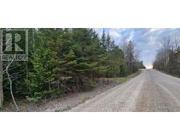 43 Hardwick Cove Road, Northern Bruce Peninsula, ON N0H1W0 Photo 7