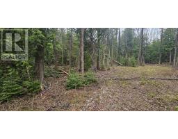 43 Hardwick Cove Road, Northern Bruce Peninsula, ON N0H1W0 Photo 12